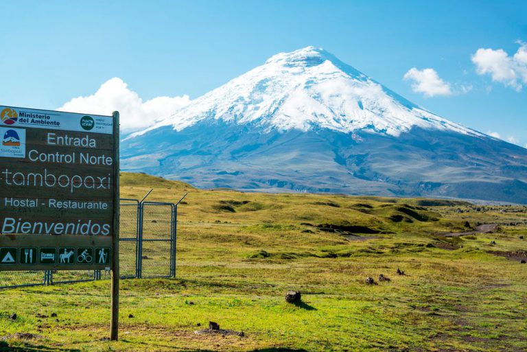 Excursion over Cotopaxi National Park in Quito with guide